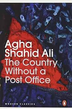 Cover of The Country without a Post Office 